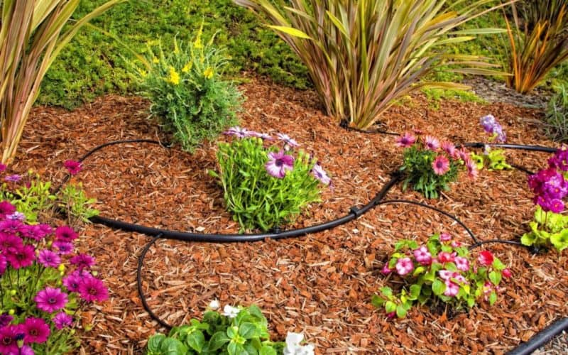 Best Gardening And Lawn Sprinkler System