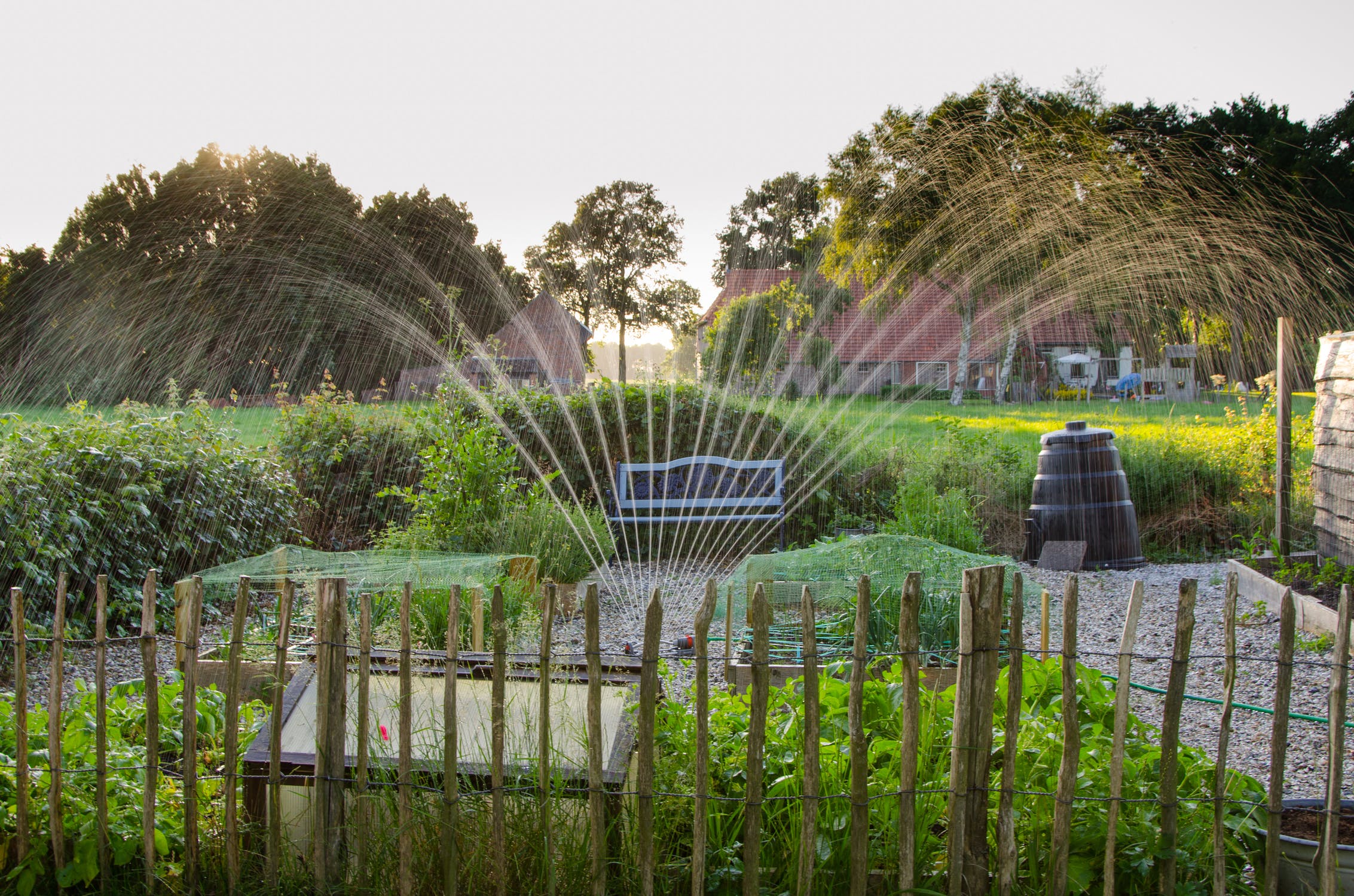 Garden sprinkler watering a green kitchen garden