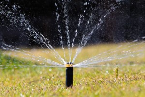 When is the best time to set your sprinkler system
