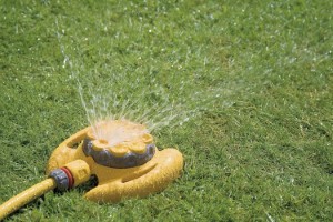 Hozelock Multi Sprinkler