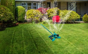 Best Hassle-Free Option - GrowGreen GG-LS001 Sprinkler