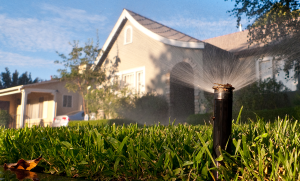 Best Sprinkler For Rectangular Yard Summer