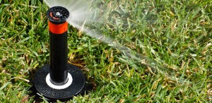 Pop Up Sprinkler Attachment 