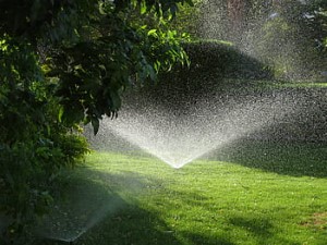 Best Lawn Sprinklers For Large Yards