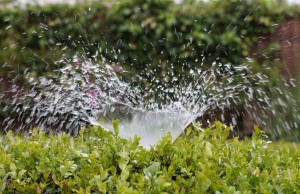 Best Lawn Sprinklers For Large Yards