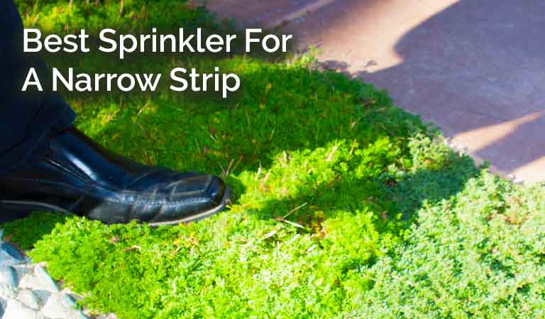 Best Sprinkler For A Narrow Strip