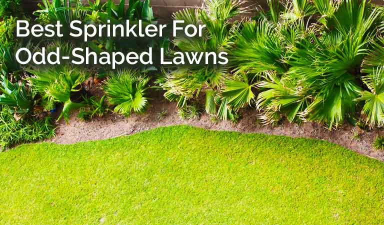 Best Sprinkler For Odd-Shaped Lawns