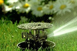 Best Sprinkler For A Narrow Strip Orbit 55025 Satellite 2 Impact Sprinkler