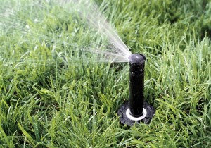 Best Sprinkler For A Narrow Strip Rain Bird 1804VAN Professional Pop-Up Sprinkler