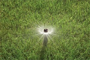 Best Pop-Up Lawn Sprinkler - Rain Bird 1804van 4-Inch Professional Pop-Up Sprinkler