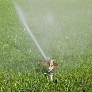 RainBird 25PJDAC Brass Impact Sprinkler