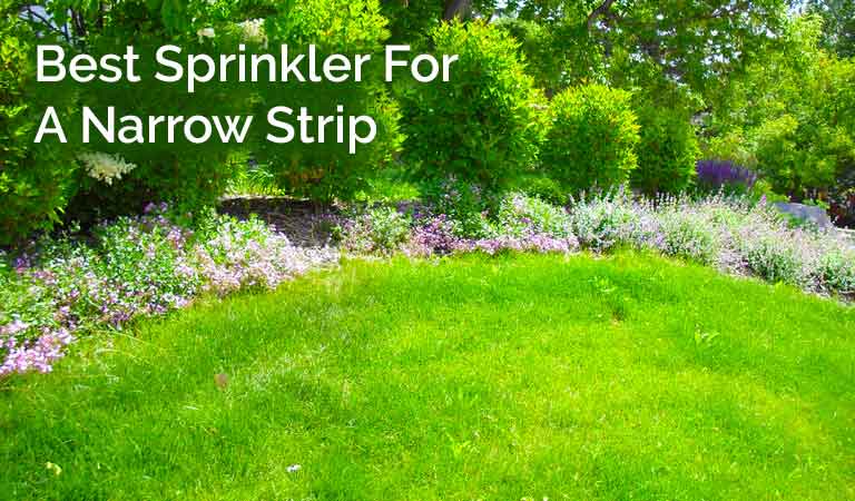 Best Lawn Sprinkler For Small Areas